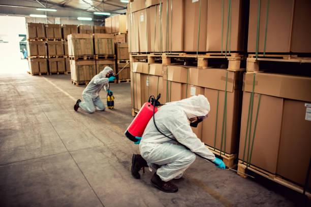 Best Pest Prevention Services  in Bardstown, KY