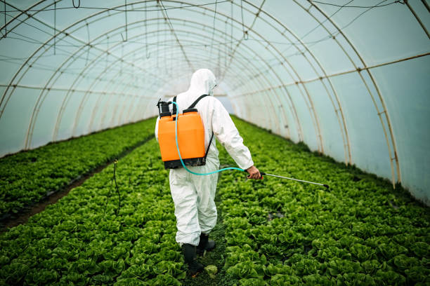 Best Best Pest Control Companies  in Bardstown, KY