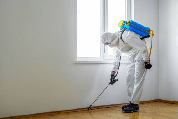 Best Residential Pest Control  in Bardstown, KY