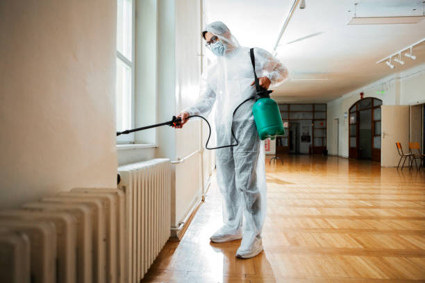 Best Ant Control Services  in Bardstown, KY